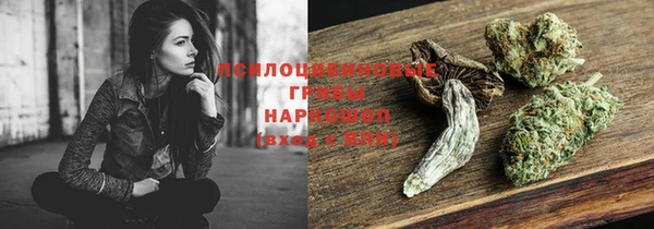 бошки Вяземский