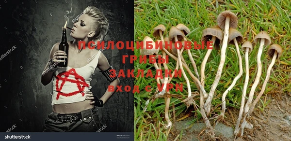 каннабис Вязьма